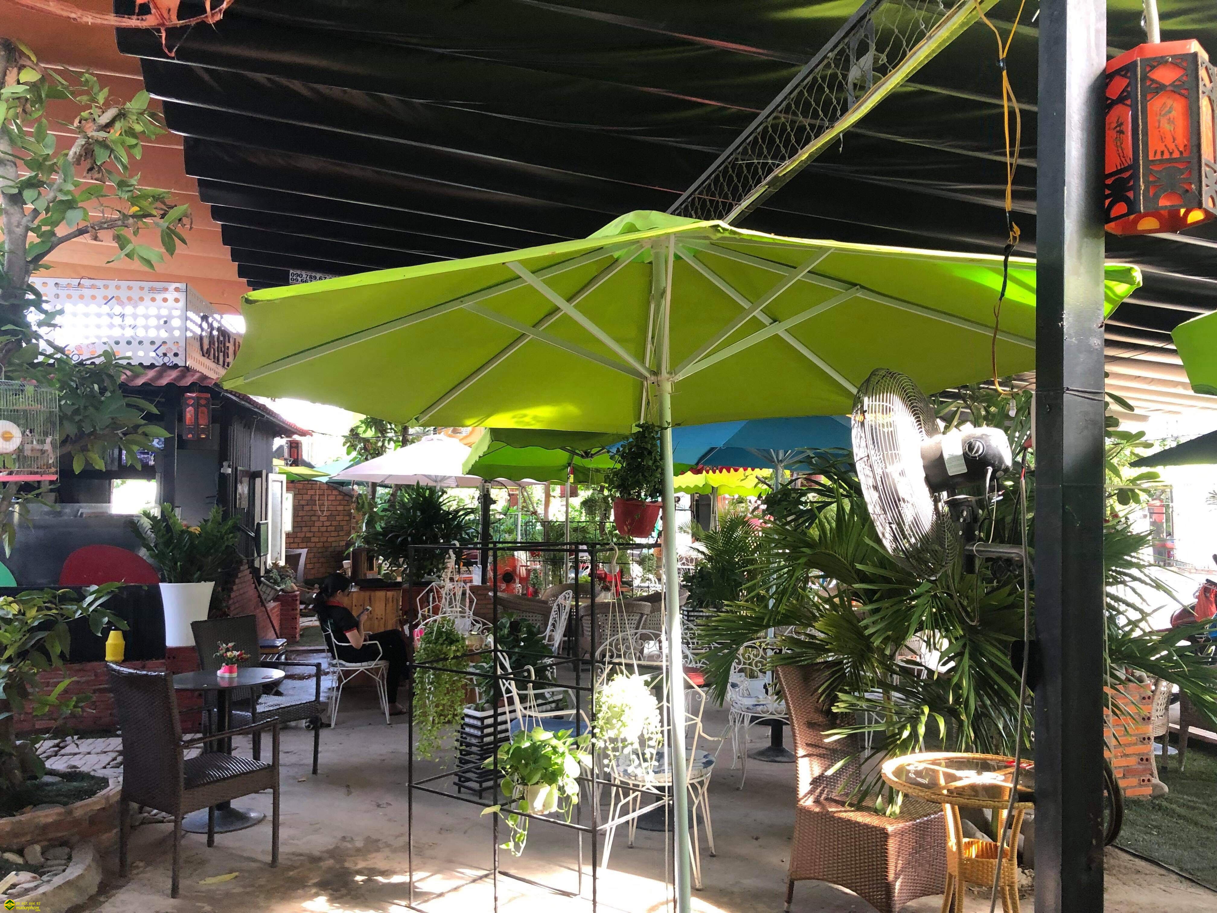 Dù củ thanh lý nhanh giá rẻ